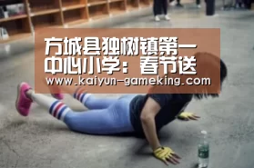 方城县独树镇第一中心小学:春节送节礼帮扶独树镇北村:开云体育(图1) 开云综合娱乐平台