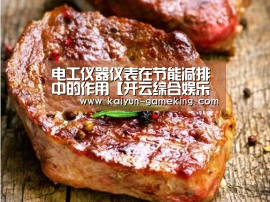 电工仪器仪表在节能减排中的作用【开云综合娱乐平台】(图3) 开云综合娱乐平台