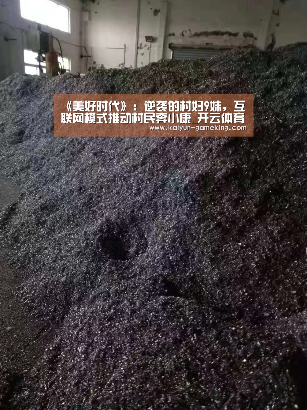 《美好时代》:逆袭的村妇9妹,互联网模式推动村民奔小康_开云体育竞猜(图1) 开云体育竞猜