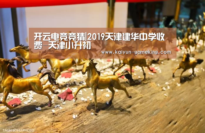 开云体育竞猜