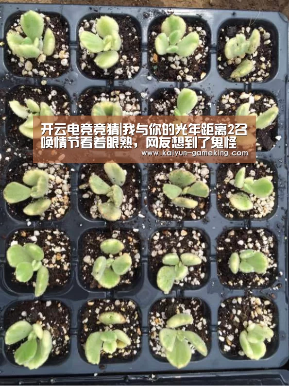 开云电竞竞猜|我与你的光年距离2召唤情节看着眼熟,网友想到了鬼怪(图1) 开云综合娱乐平台