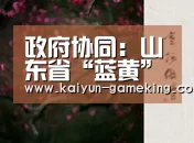 开云体育竞猜