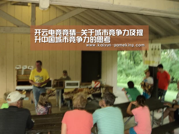 开云电竞竞猜-关于城市竞争力及提升中国城市竞争力的思考(图3) 开云体育