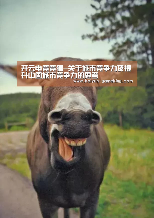开云电竞竞猜-关于城市竞争力及提升中国城市竞争力的思考(图4) 开云综合娱乐平台