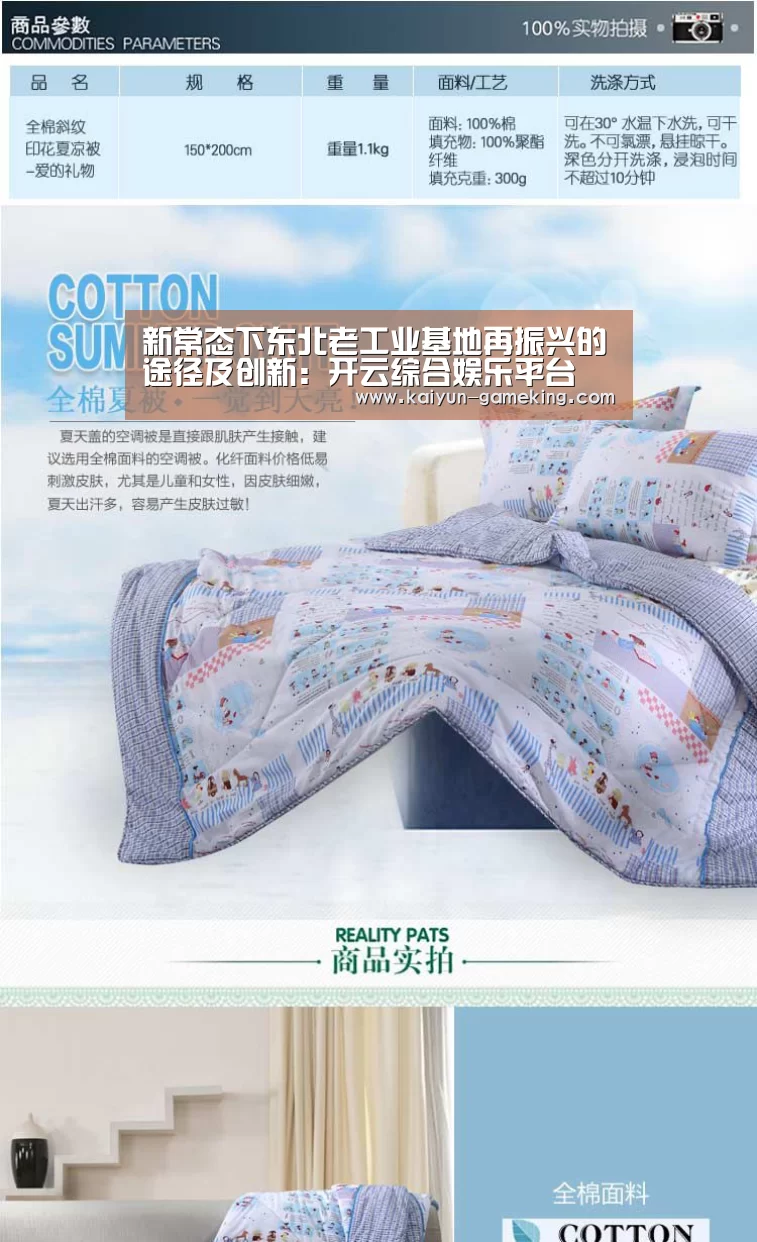 新常态下东北老工业基地再振兴的途径及创新:开云综合娱乐平台(图3) 开云电竞竞猜