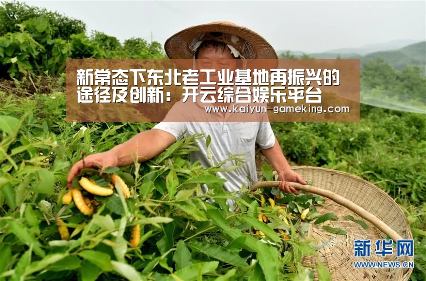 新常态下东北老工业基地再振兴的途径及创新:开云综合娱乐平台(图1) 开云体育竞猜